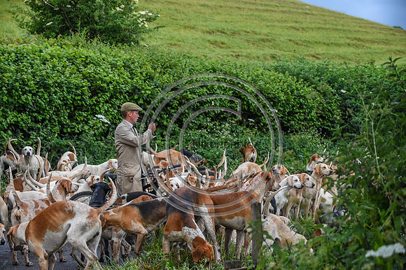 BVHound_Hunting_20PN_58060