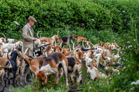 BVHound_Hunting_20PN_58062