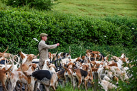 BVHound_Hunting_20PN_58068