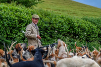 BVHound_Hunting_20PN_58078-2
