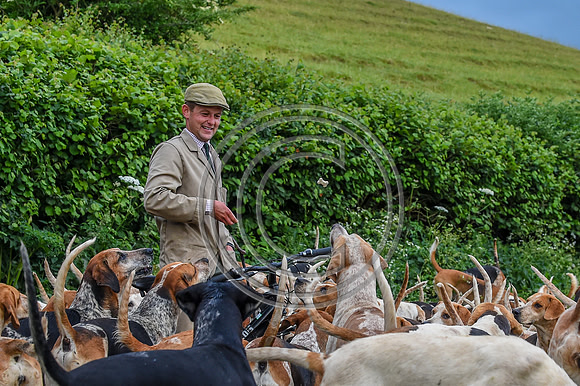 BVHound_Hunting_20PN_58078-2