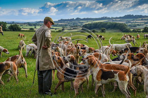 BVHound_Hunting_20PN_58112