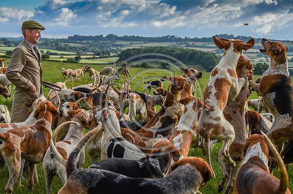 BVHound_Hunting_20PN_58114