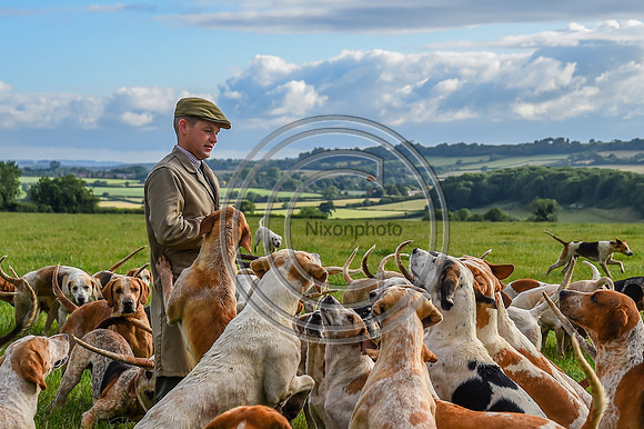 BVHound_Hunting_20PN_58120