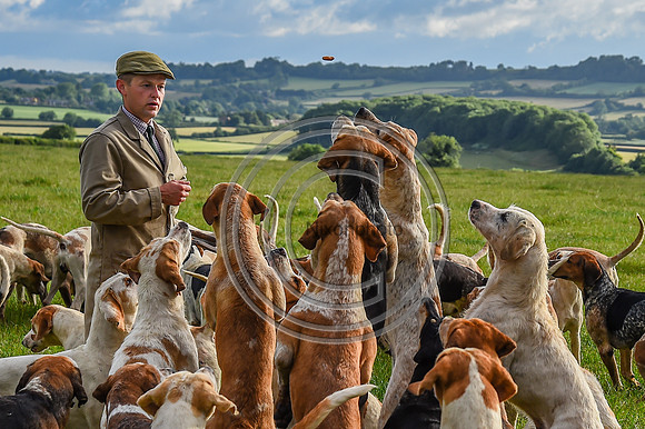 BVHound_Hunting_20PN_58138