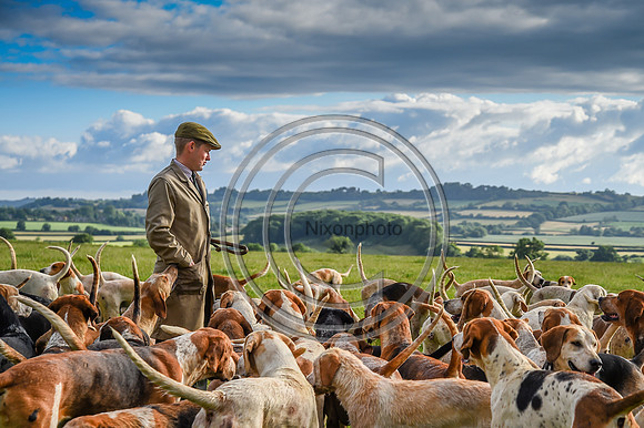 BVHound_Hunting_20PN_58147