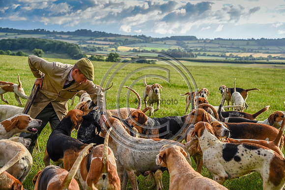 BVHound_Hunting_20PN_58158