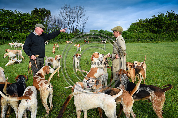 BVHound_Hunting_20PN_58170