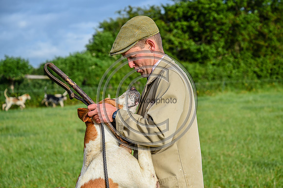BVHound_Hunting_20PN_58185