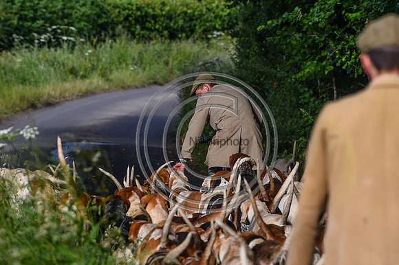BVHound_Hunting_20PN_58304