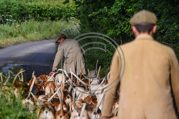 BVHound_Hunting_20PN_58305