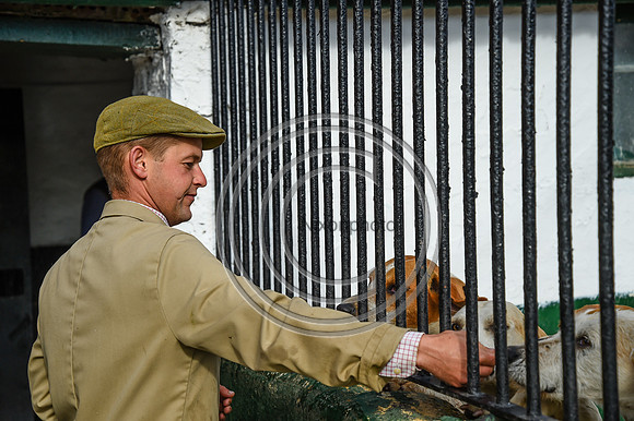 BVHound_Hunting_20PN_58393