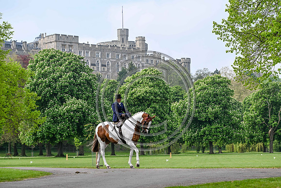 PhotoCall_RWHS_PN24_130811