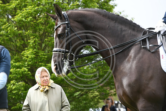 Valegro_RWHS_PN19_13009