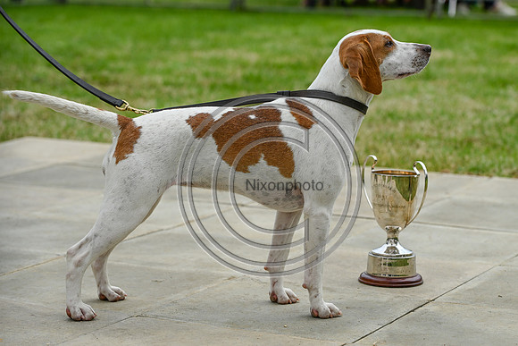 Festival of Hounds 2024