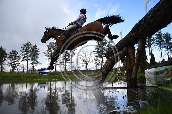 Kronenberg