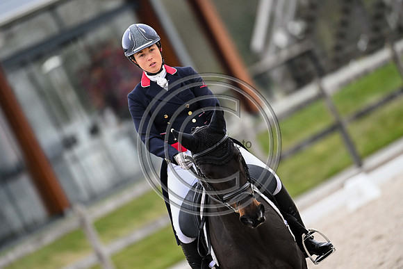 Kirsty CHABERT_Opposition Heraldik Girl_Krone_PN23_124087