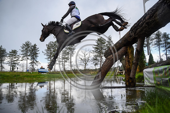 Kirsty CHABERT_Opposition Heraldik Girl_Krone_PN23_125699
