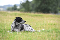XCSchooling_BSV_20PN_71290