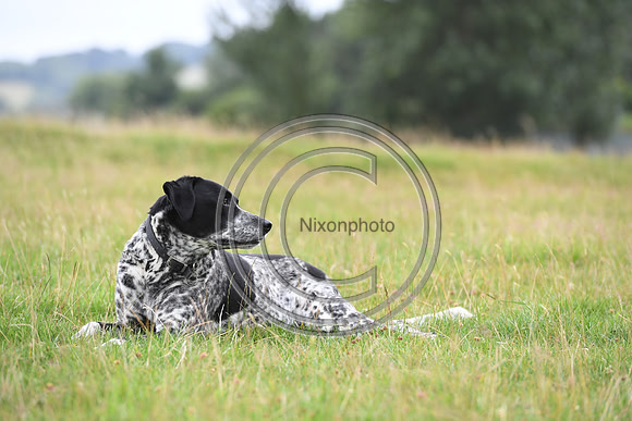 XCSchooling_BSV_20PN_71290
