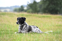 XCSchooling_BSV_20PN_71291