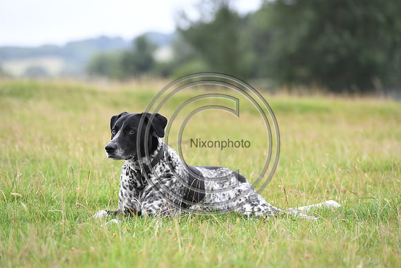 XCSchooling_BSV_20PN_71291