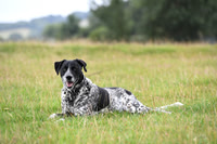 XCSchooling_BSV_20PN_71289
