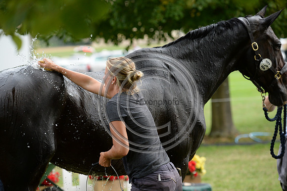 PhilBrown_HarryRobinson_LRBHT.jpg47756