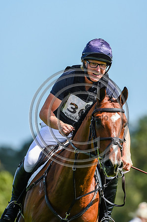 HorseNo308_Burgham_20PN_82009