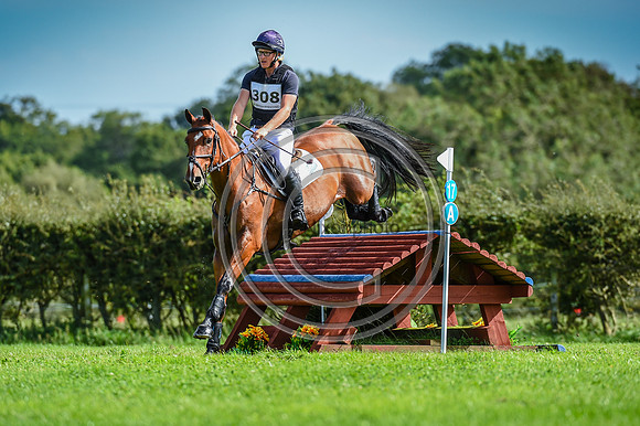HorseNo308_Burgham_20PN_82001