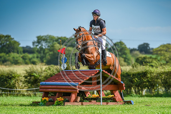 HorseNo308_Burgham_20PN_82002
