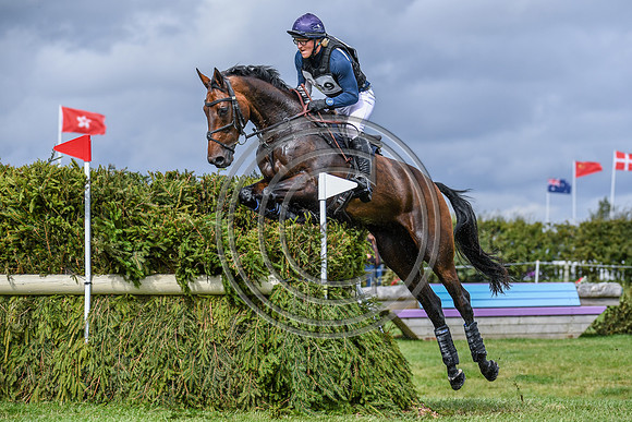 HorseNo809_Burgham_20PN_88348