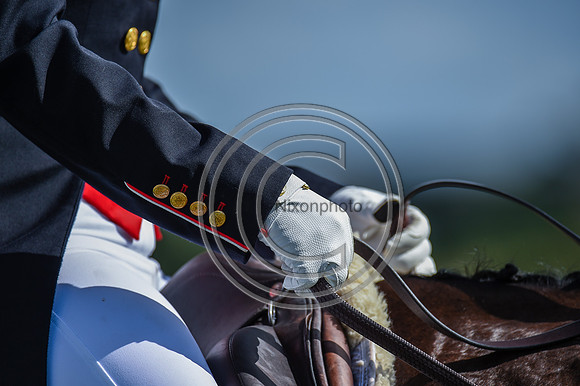 HorseNo_Burgham_20PN_80834