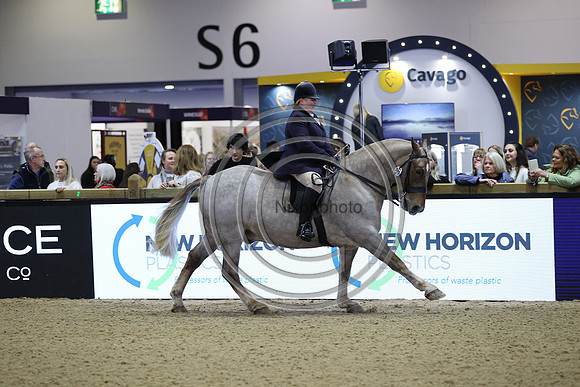 Rising Star_CobChamp_LIHS_PN24_10249