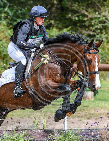 HorseNo487_Wellington_20PN_95205
