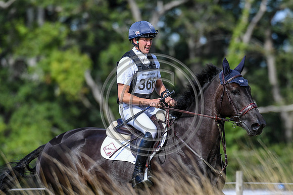 HorseNo366_Wellington_20PN_94331