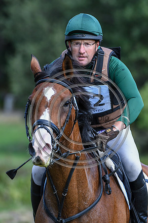 HorseNo382_Wellington_20PN_94786