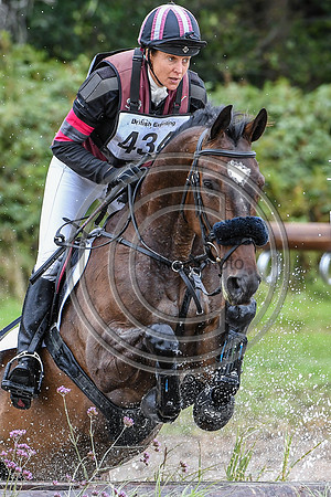 HorseNo434_Wellington_20PN_95232