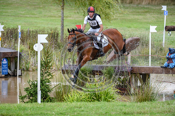 HorseNo438_Wellington_20PN_95305