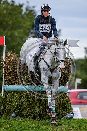HorseNo442_Wellington_20PN_95551