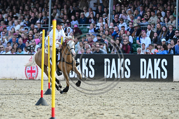 DAKS_PC_RWHS25_P189969