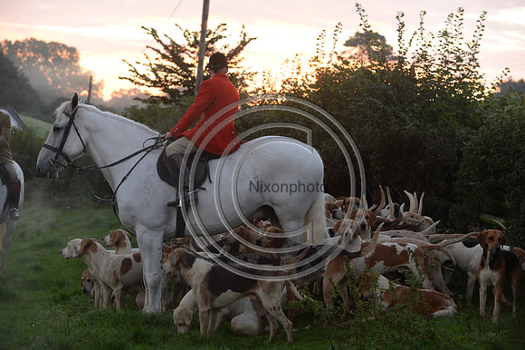 Blackmore & Sparkford Vale Hunt 07 09 20
