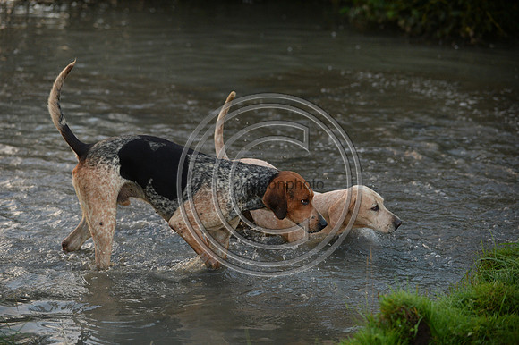 Blackmore & Sparkford Vale Hunt 07 09 20