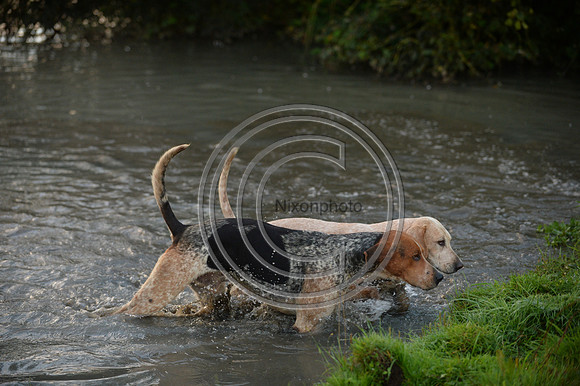 Blackmore & Sparkford Vale Hunt 07 09 20
