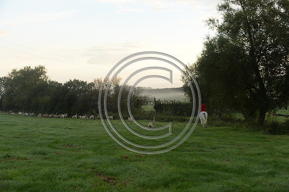 Blackmore & Sparkford Vale Hunt 07 09 20
