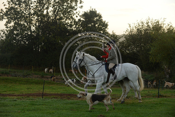 Blackmore & Sparkford Vale Hunt 07 09 20