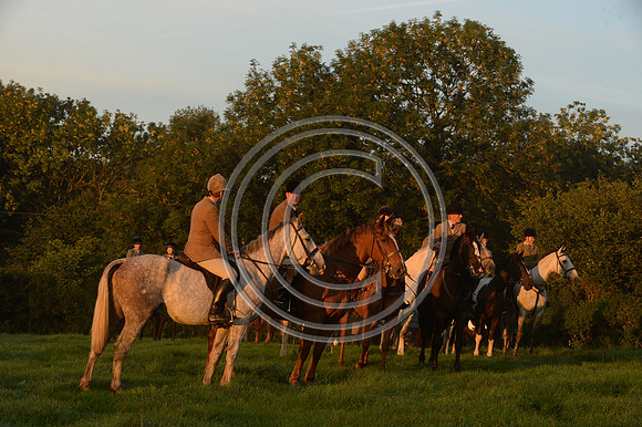 Blackmore & Sparkford Vale Hunt 07 09 20