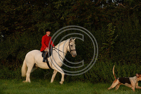 Blackmore & Sparkford Vale Hunt 07 09 20