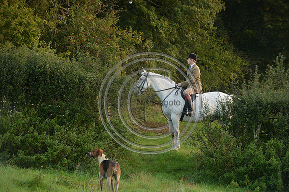 Blackmore & Sparkford Vale Hunt 07 09 20