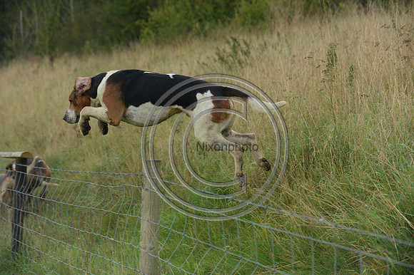 Blackmore & Sparkford Vale Hunt 07 09 20